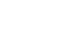 Rostfrei Steels